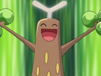 Brock Sudowoodo Mimica.png