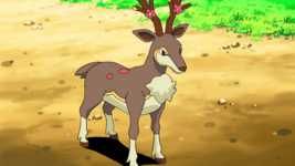 Burgundy Sawsbuck.png