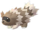 Zigzagoon