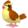 Pidgey