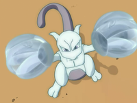 Mewtwo Tropius Miraggio.png