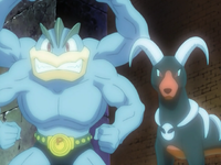 Machamp Houndoom Miraggio.png