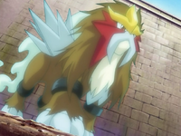 Entei Miraggio.png