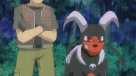 Proprietario Houndoom.png