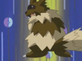 Nicholai Zigzagoon Cosplay.png