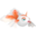 Goldeen