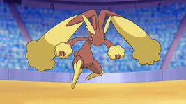 Nando Lopunny.png