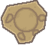 Sotterranei Fossilcranio.png