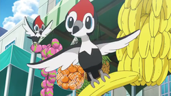 Pikipek anime.png