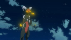 Villaggio Ninja Houndoom.png