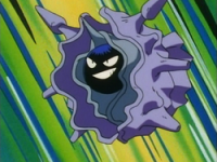 Mateo Cloyster.png