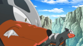 Team Flare Houndour.png