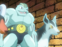 Machoke Mightyena Miraggio.png