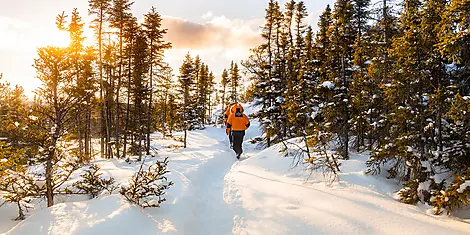 The St. Lawrence River in the Heart of the Boreal Winter