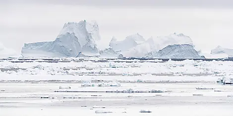 Disko Bay: Meeting the Inuit & Discovering the Unknown