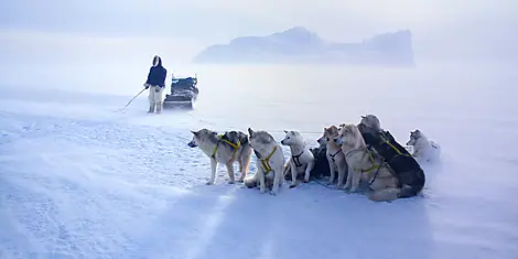 Encounter with the Last Guardians of the North Pole