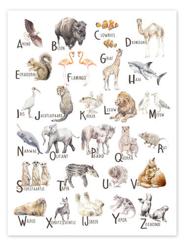 Animal Alphabet (Dutch) print by Wandering Laur | Posterlounge