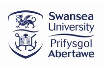 Swansea University