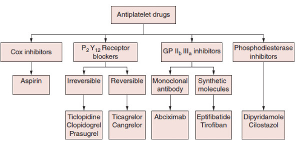 A Unique Quiz On Antiplatelet Drugs - Trivia & Questions