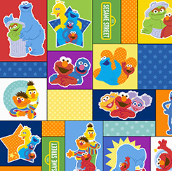 SESAME STREET - CHARACTER BLOCKS