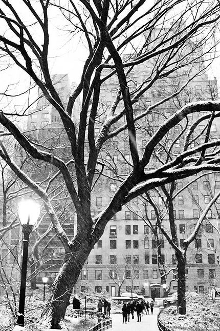 Chutes de neige sur New York 