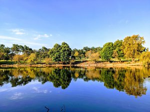 Zoo Lake