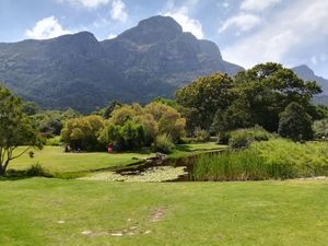 Kirstenbosch National Botanical Garden