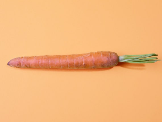 Check Your Fridge&-There’s a Carrot Recall Linked to an Ongoing, Deadly E. Coli Outbreak