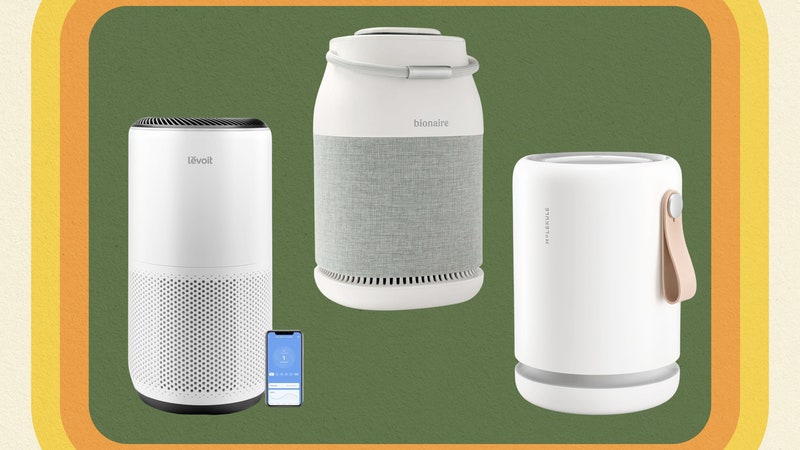 Which Air Purifiers Really Work? Allergists and Testers Say These Are the Best