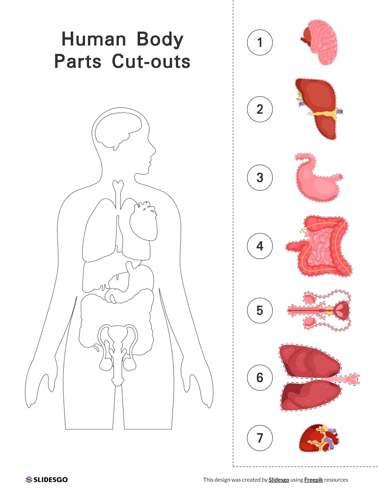 0-human-body-parts-cut-outs.jpg