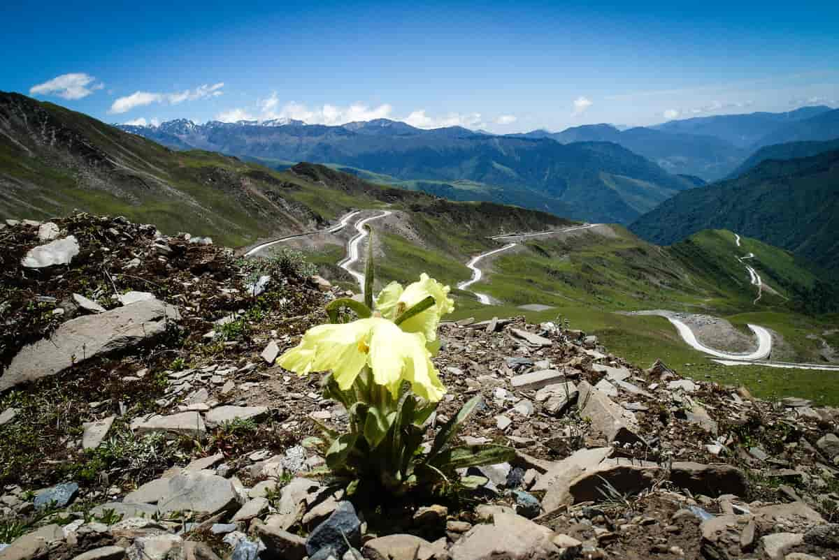 Baoxing - Biodiversity hotspot