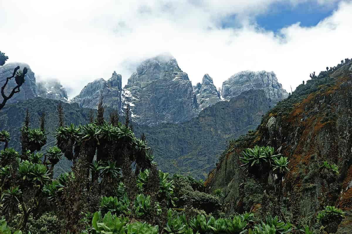 Ruwenzori nasjonalpark