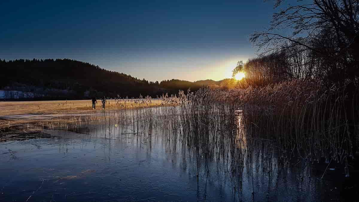 Turskøyting