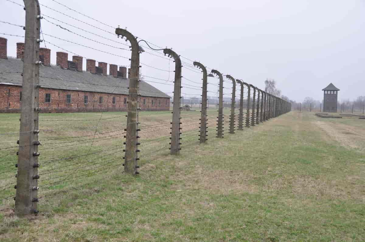 Birkenau