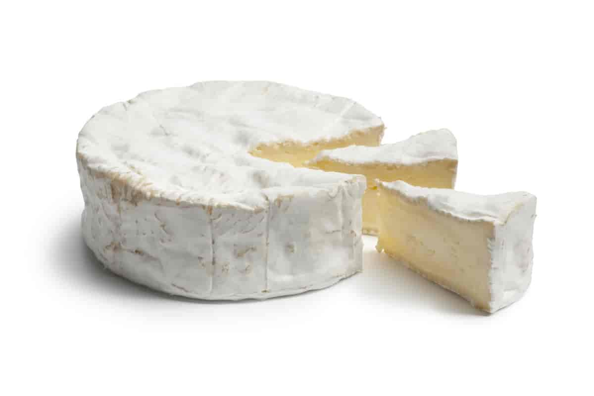 Camembert