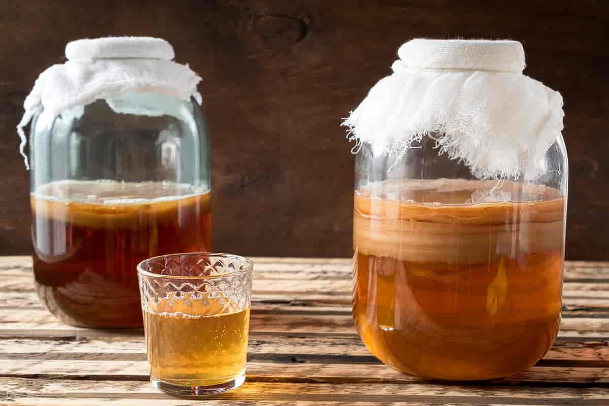 Kombucha