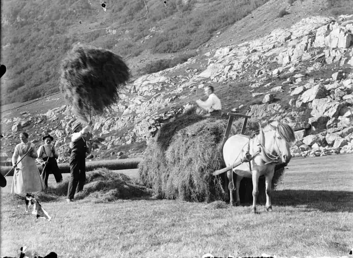 Slåttonn, Stongfjorden, ca 1910