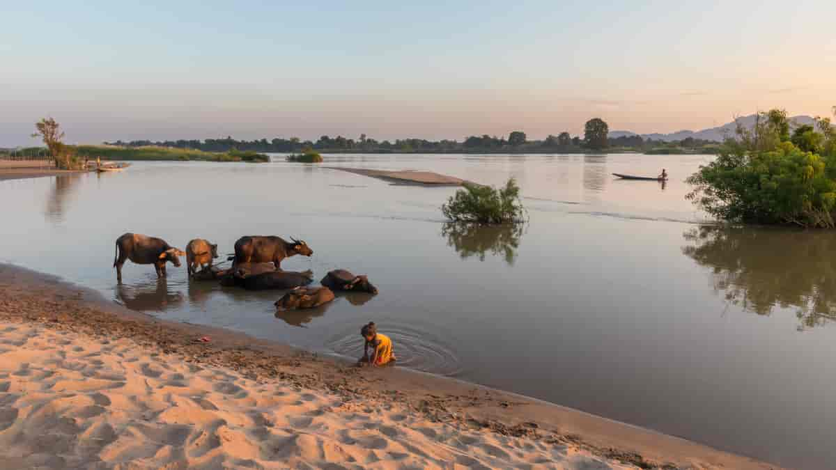 Mekong