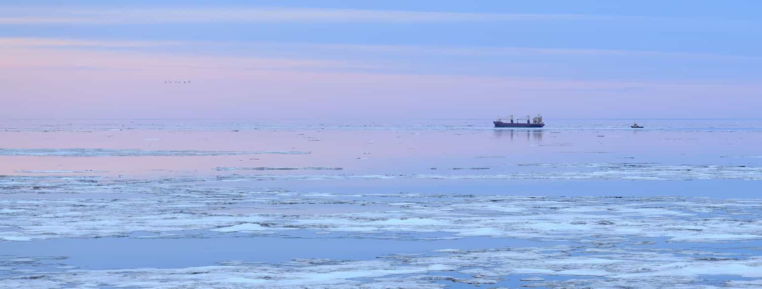 Lasteskip ved Anadyr i Nordøstpassasjen