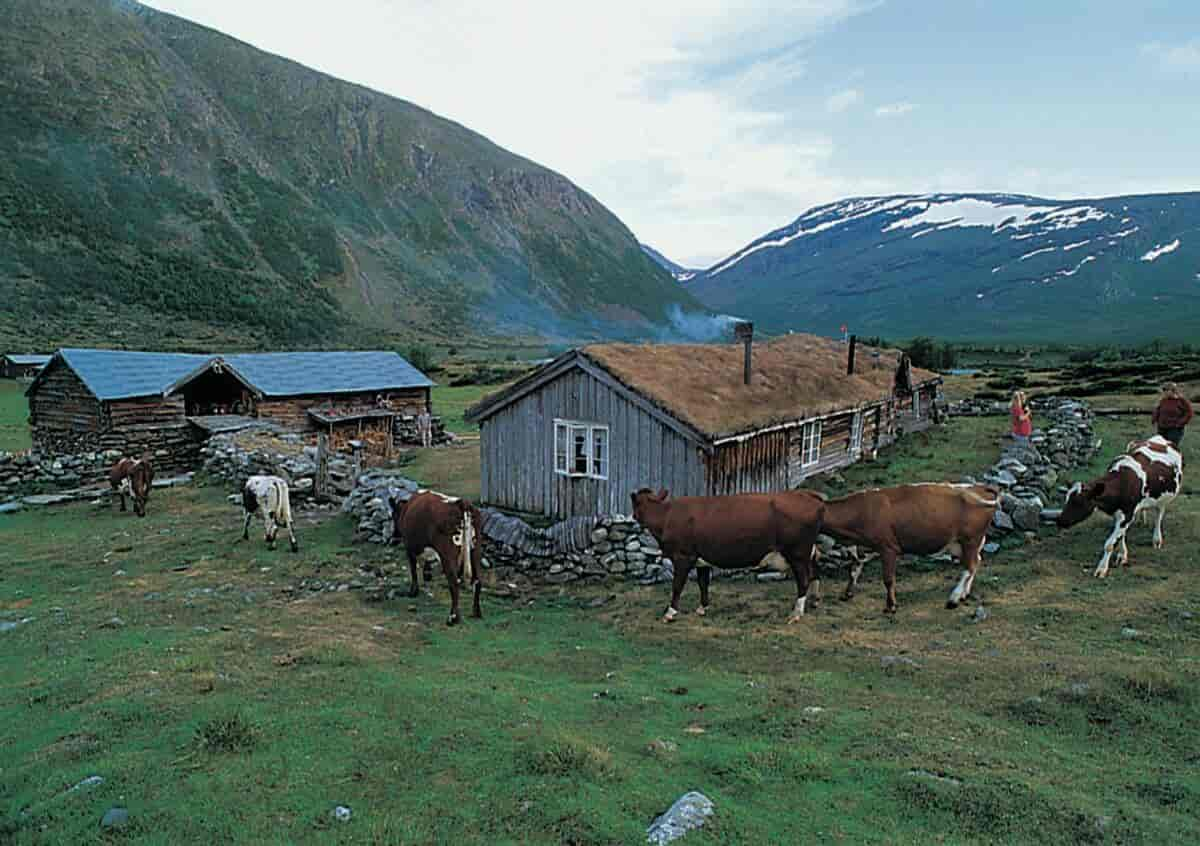 Gammelsetra i Grøvudalen i Sunndal kommune. 