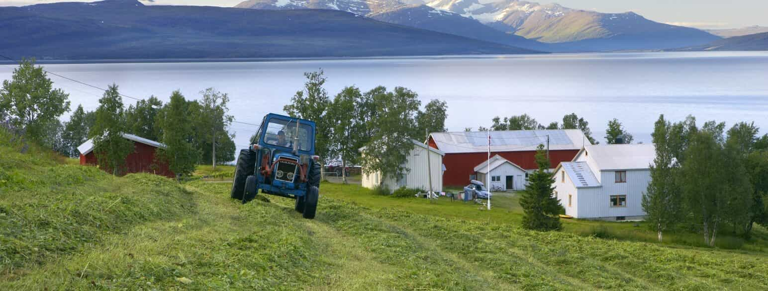 Foto av traktor som slår gress i skråning, gårdshus i bakgrunn