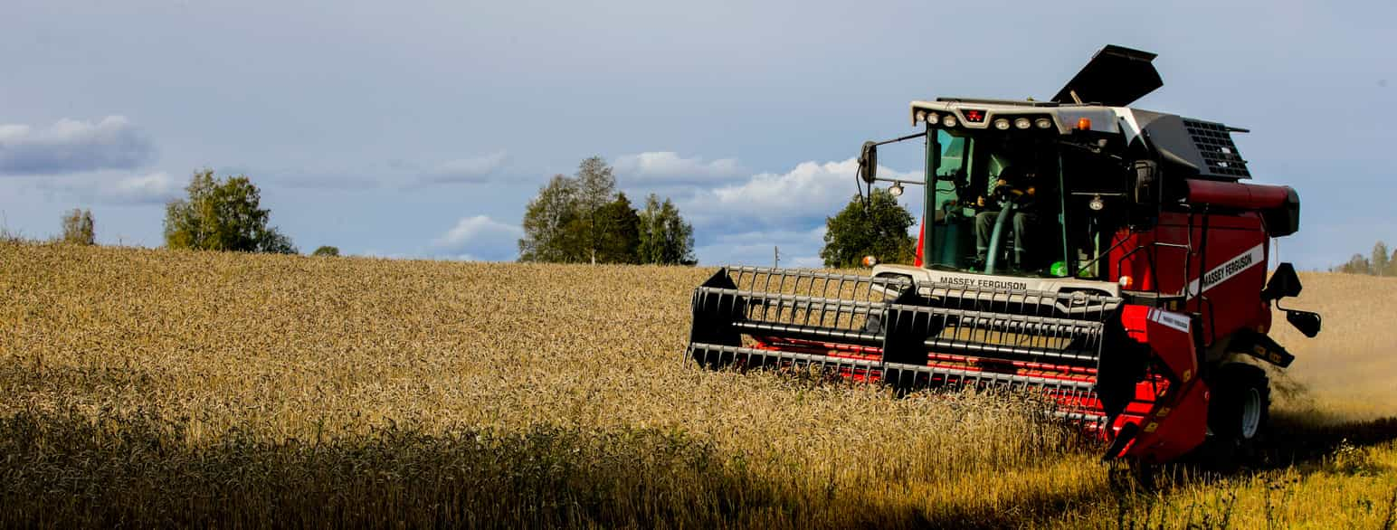 Foto av skurtresker i kornåker