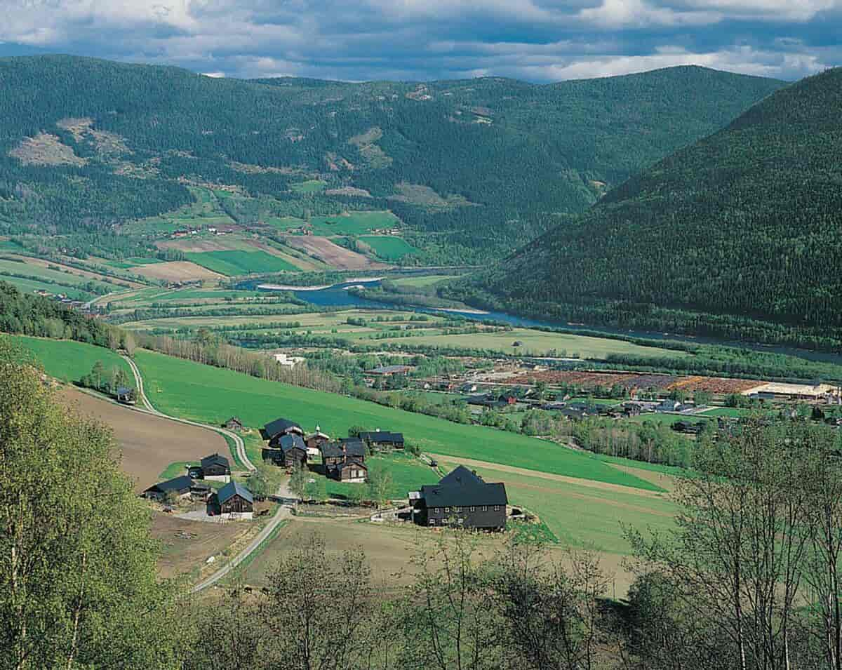 utsiktsbilde over flate åkre og fjellsider med skog