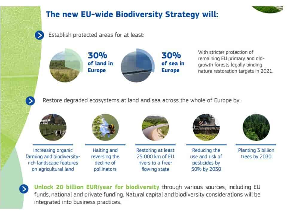 EUs biodiversitet strategy 2030