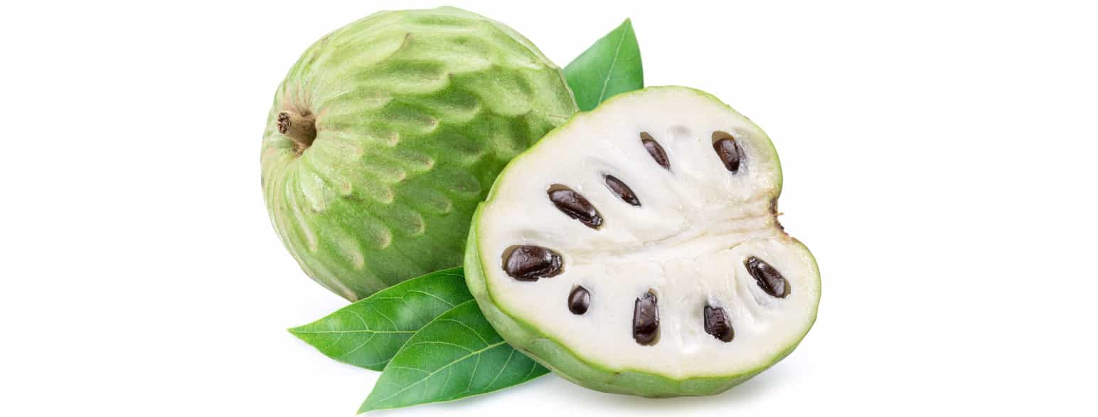 Cherimoya