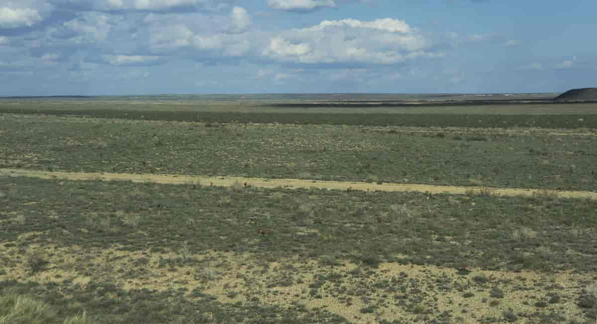 Steppe i Kasakhstan