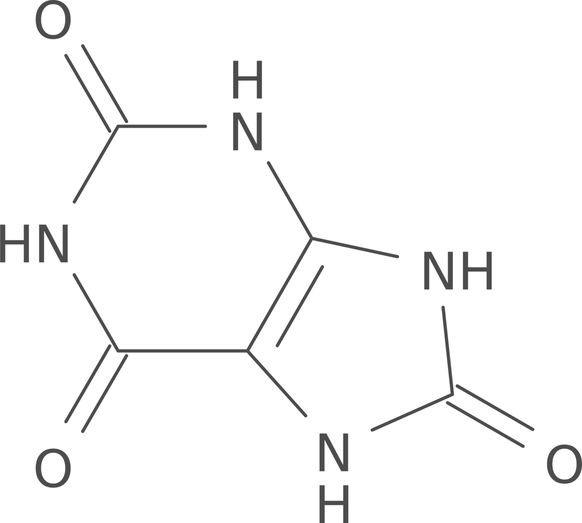 urinsyre