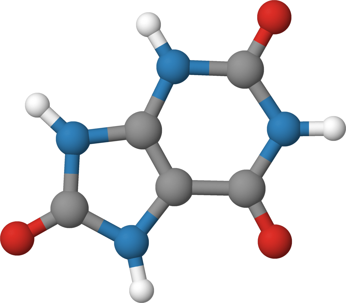 urinsyre