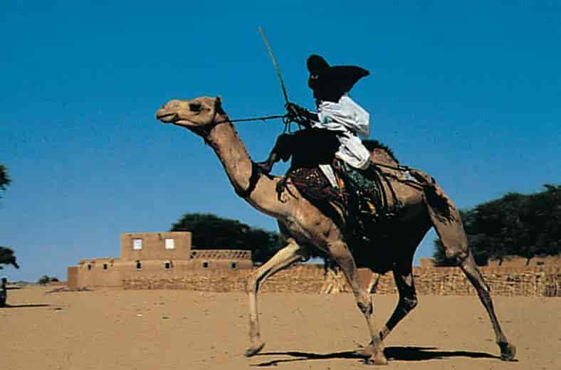 Tuareg