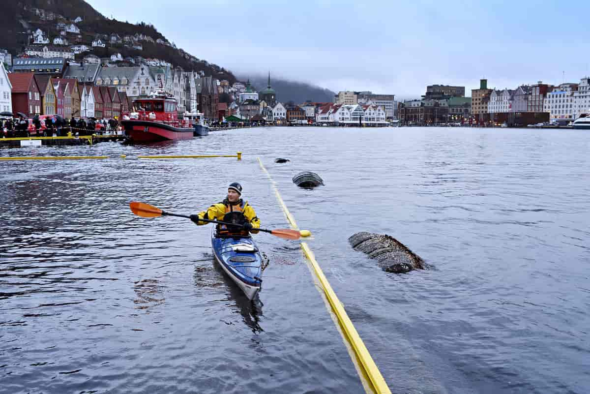 Stormflo i Bergen